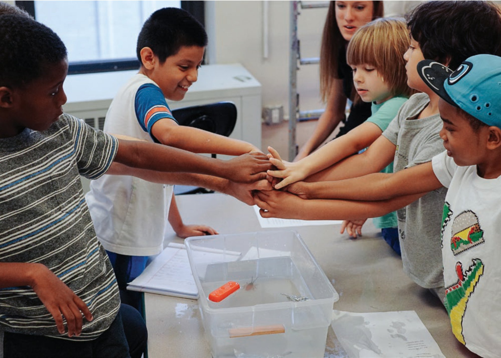 Group of students working together
